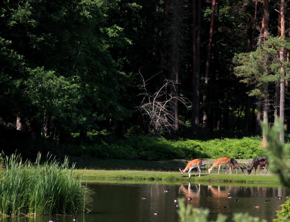Klintehamn Mulde Gard Och Fritidヴィラ エクステリア 写真
